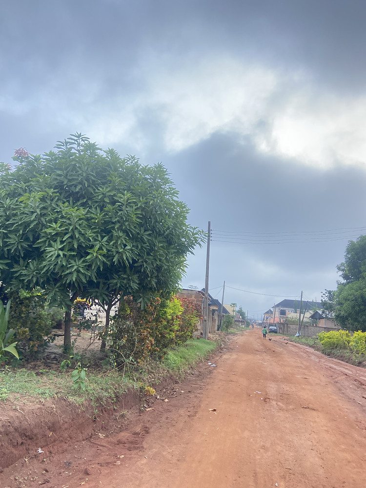 Street 