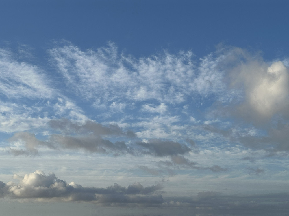 Dappled Skies