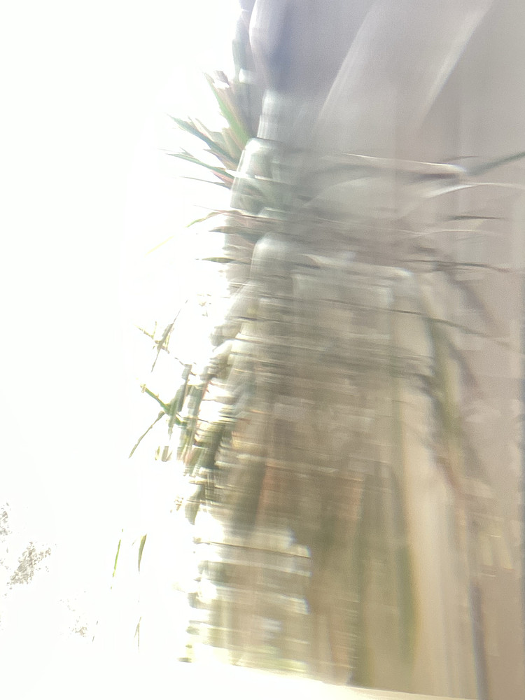 Photo 8288707