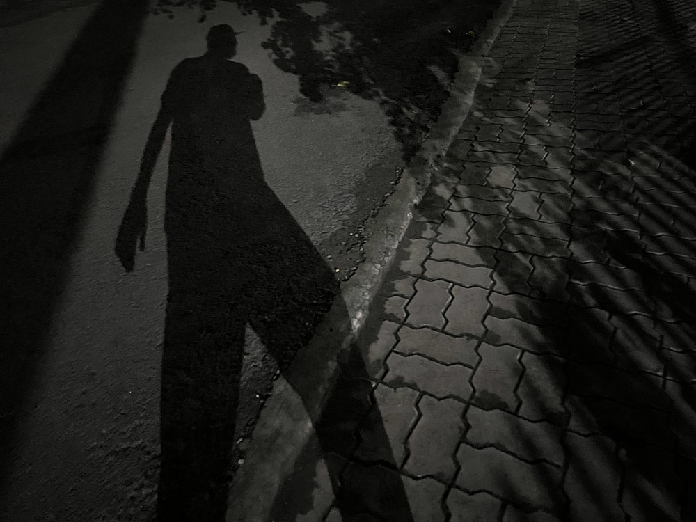 Shadow Dancer