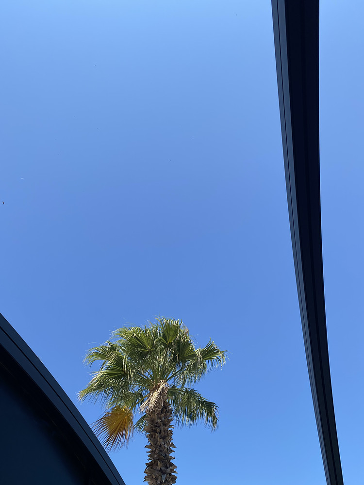 Blue morning 