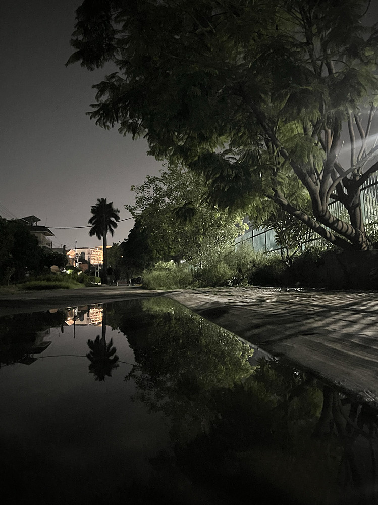 Reflected Silence
