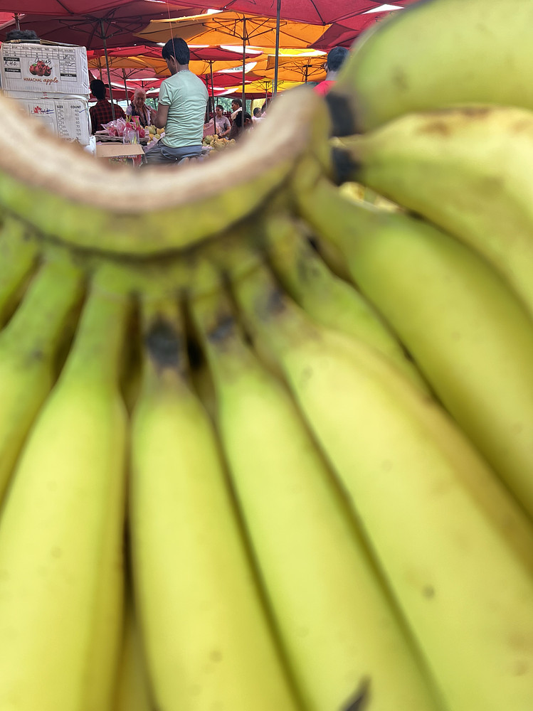 Just Bananas