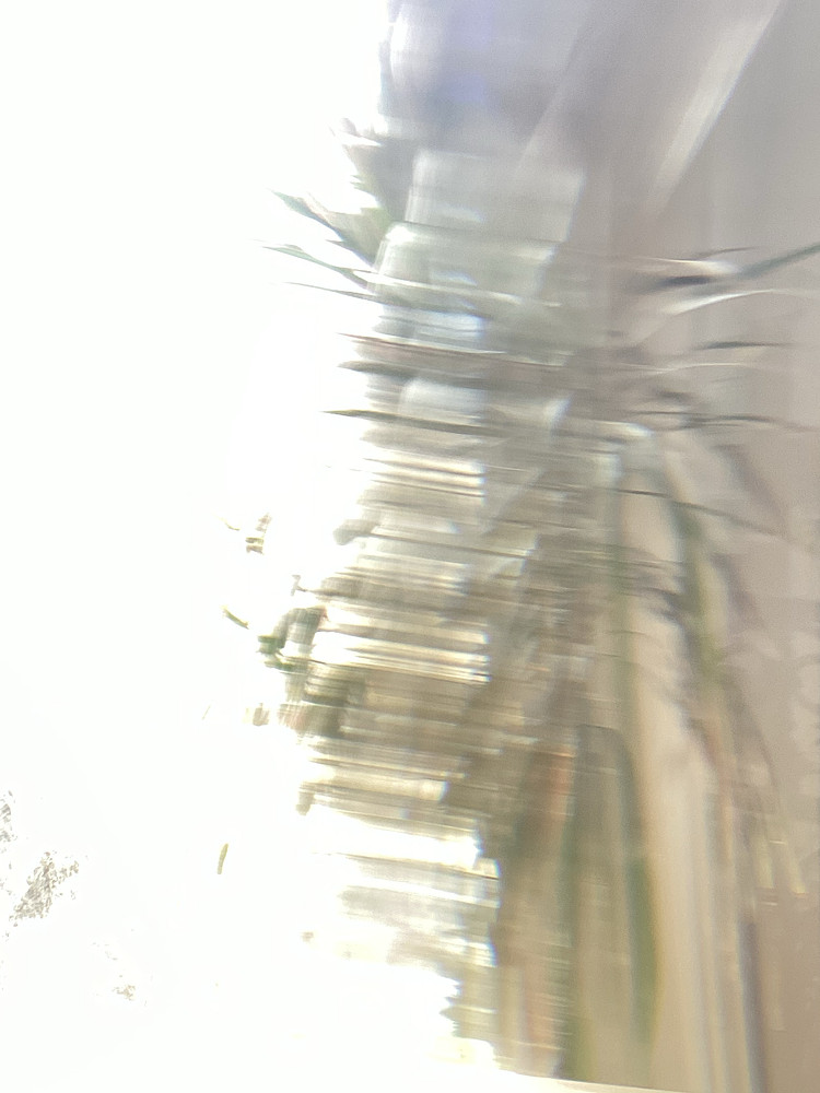 Photo 1037358