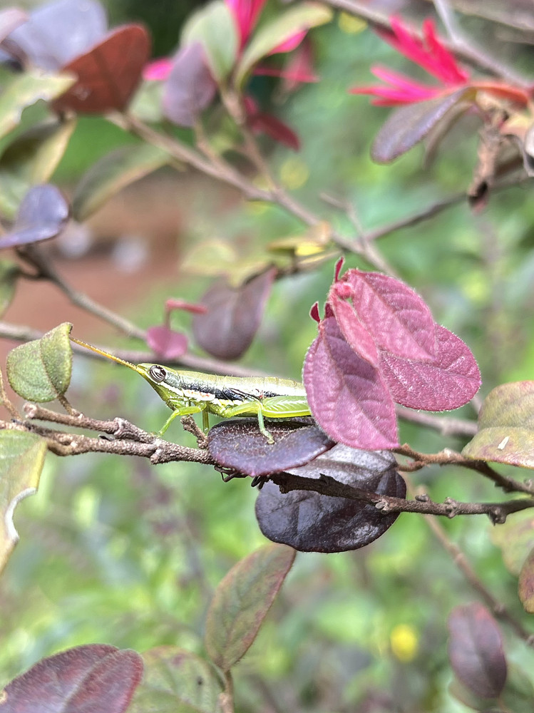 Photo 6735397