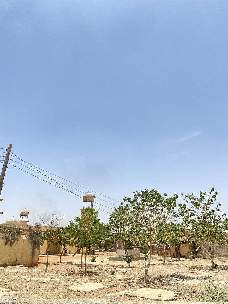 Day at the old mosque 