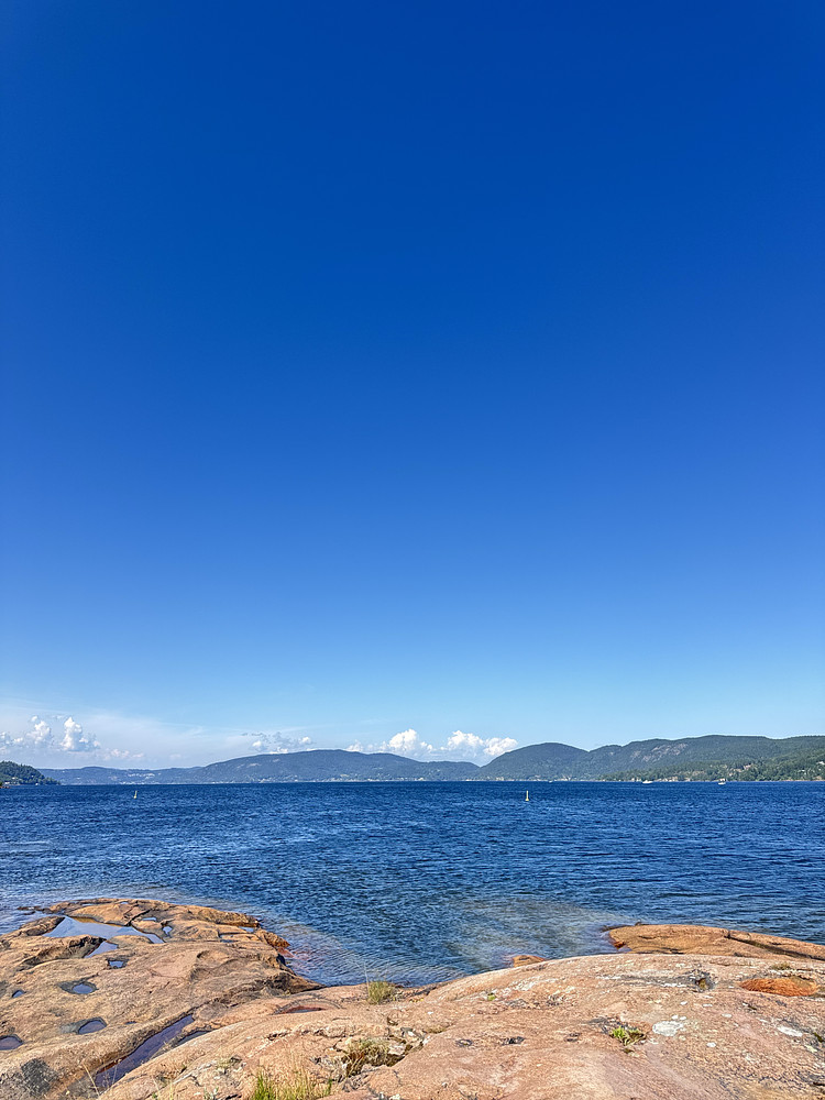 Summer day 
