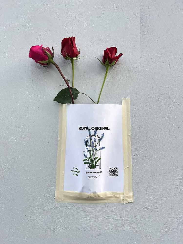 Wild Roses