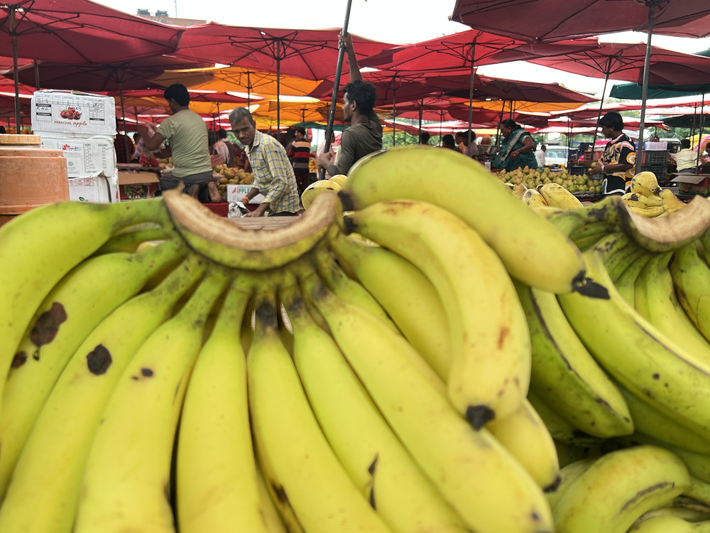 Just Bananas II