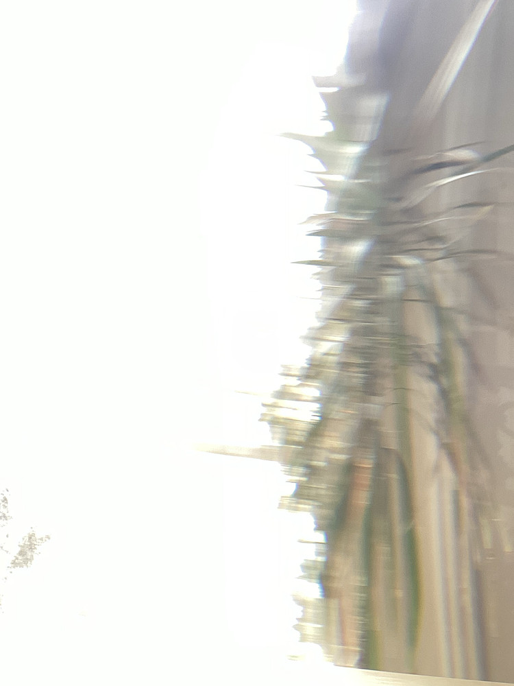 Photo 5659754