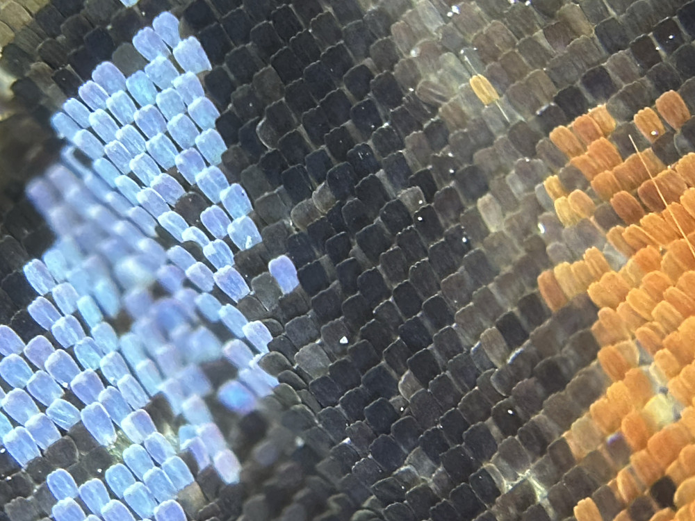 Scales