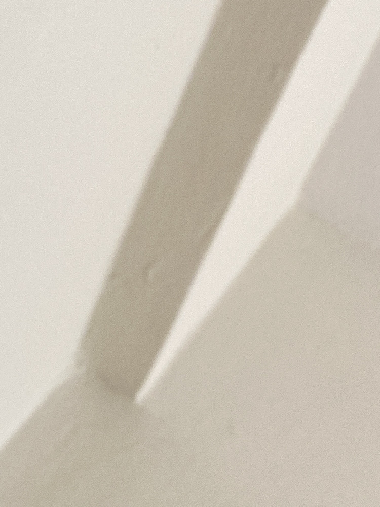 Photo 7050651