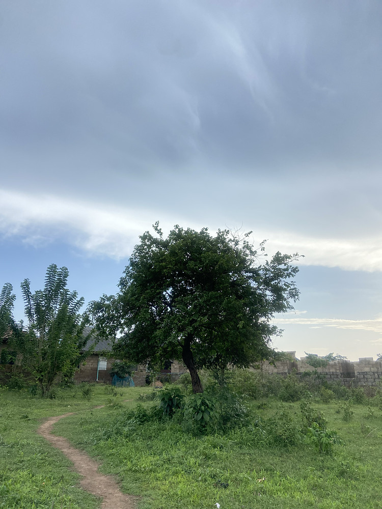 Nature 