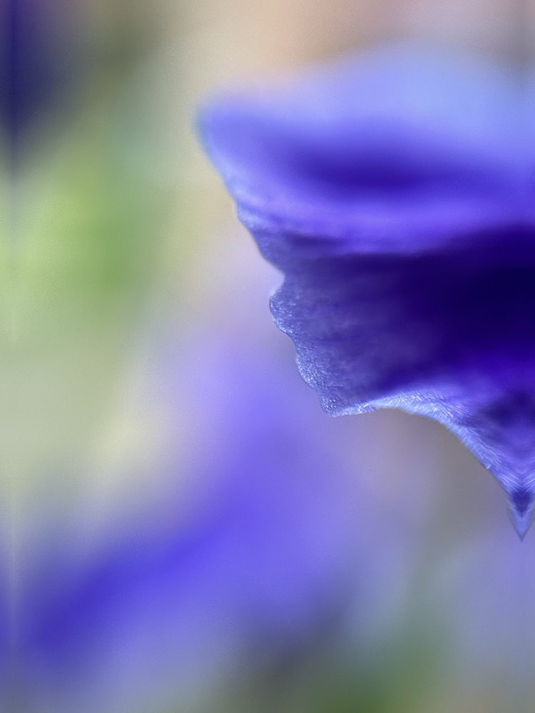 Blue Caress