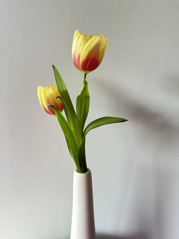 Petite Petals