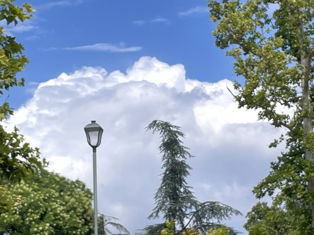 Clouds in the park 