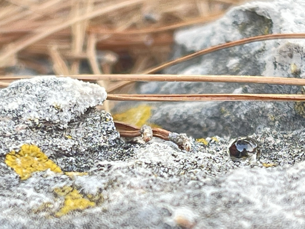 Photo 2253552