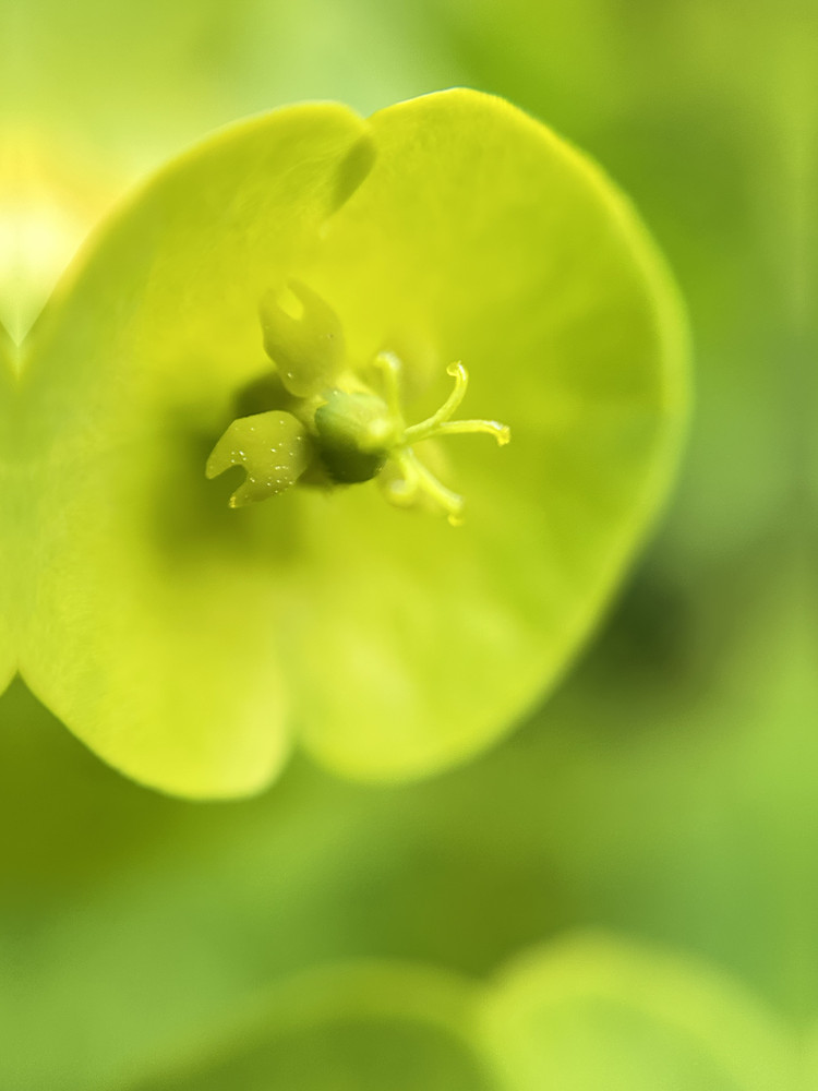 Green is Good