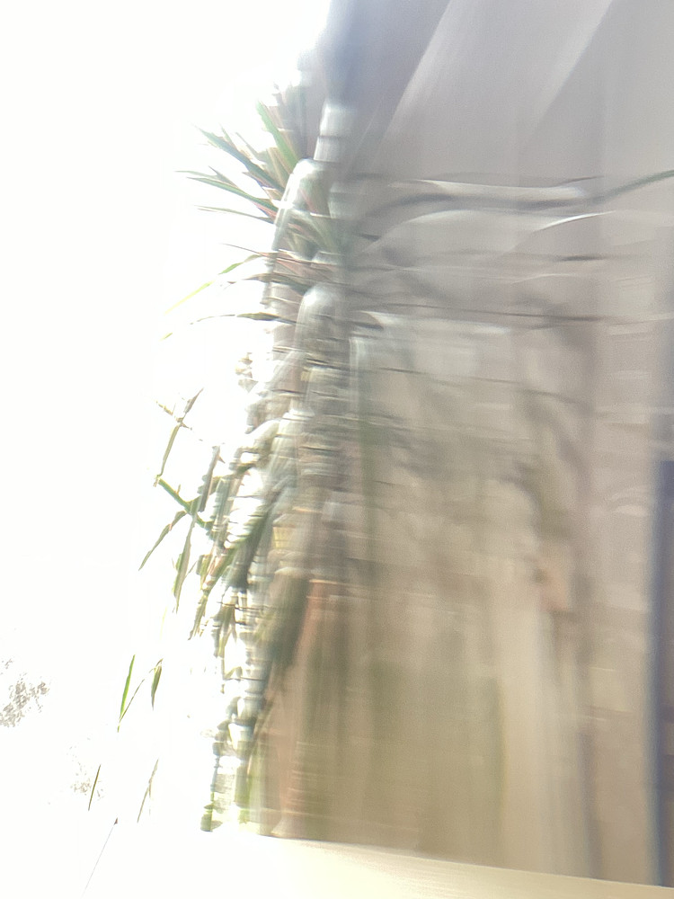 Photo 8185778