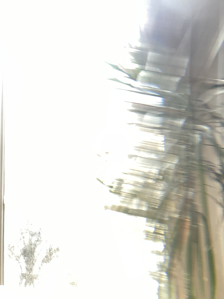 Photo 9474107