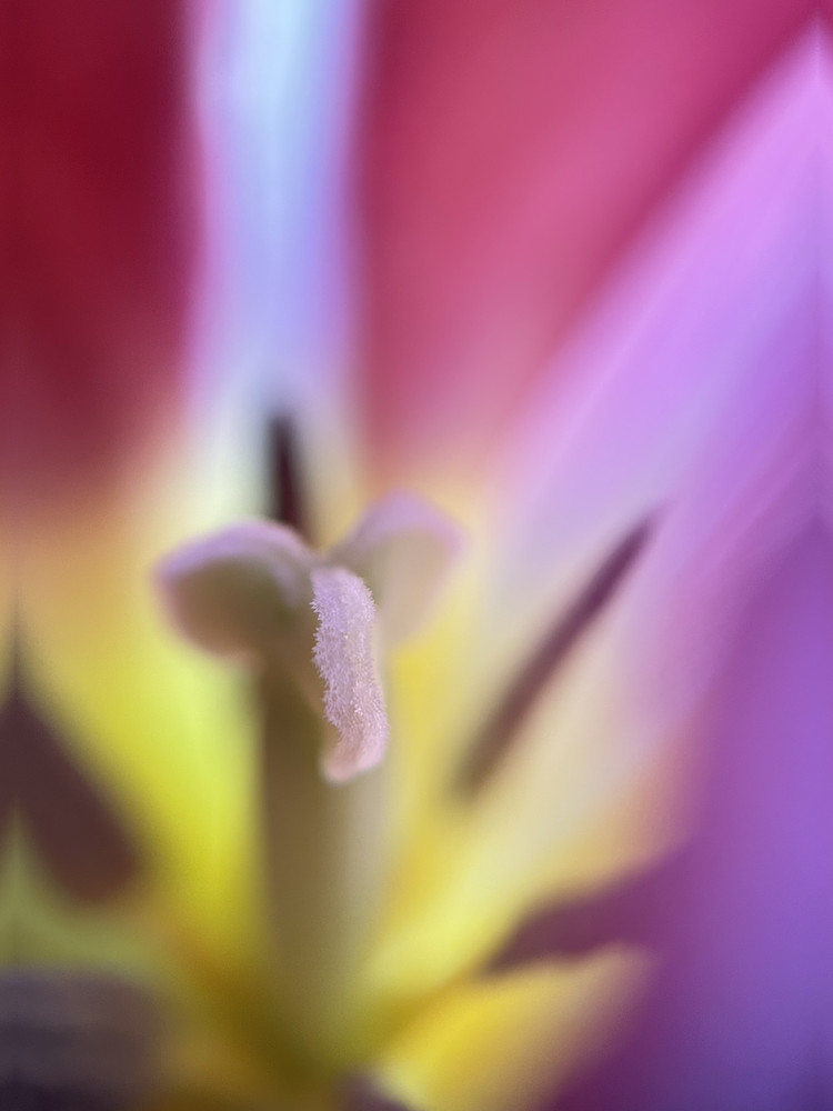 Intimatcy