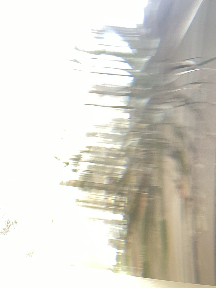 Photo 4471341