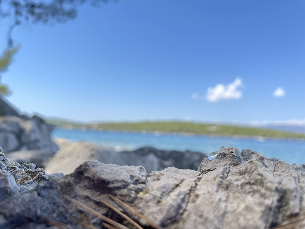 Photo 1035259