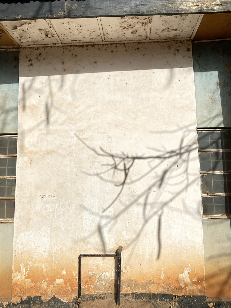 shadows in my room