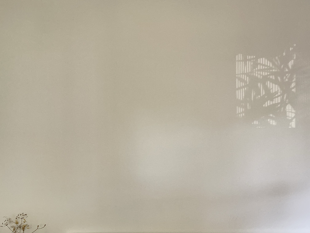 Photo 3462842