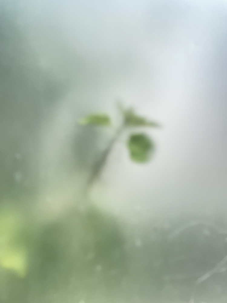 Photo 4511754