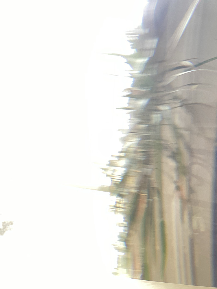 Photo 5661997