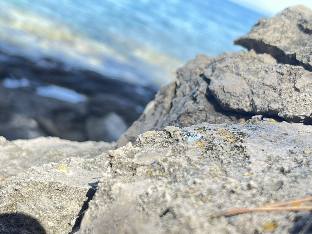 Photo 6819261