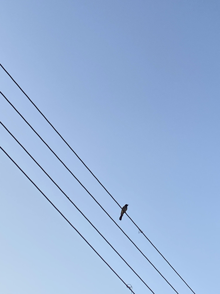 Alone without You