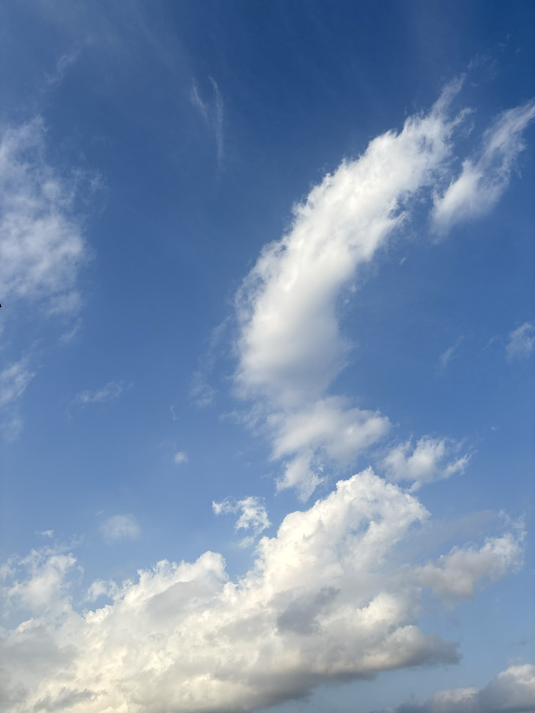 The clouds 