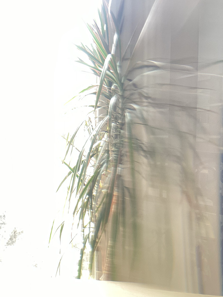 Photo 5296182