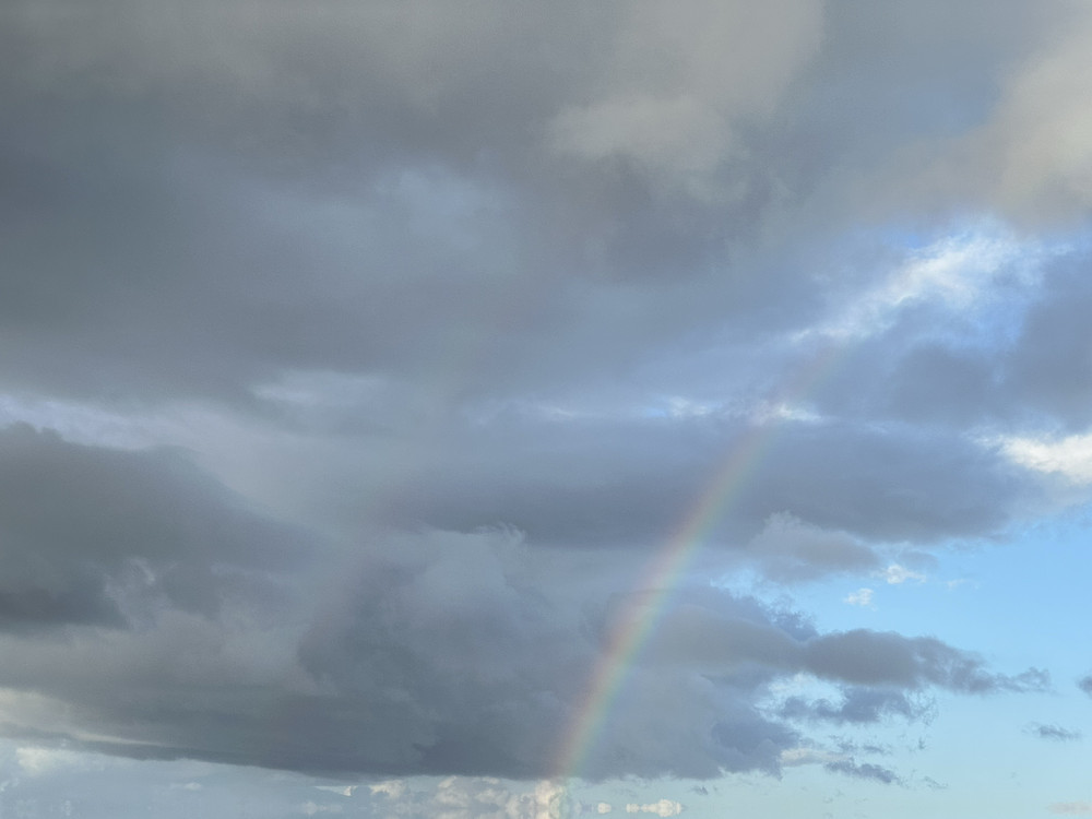 Sky Treasure