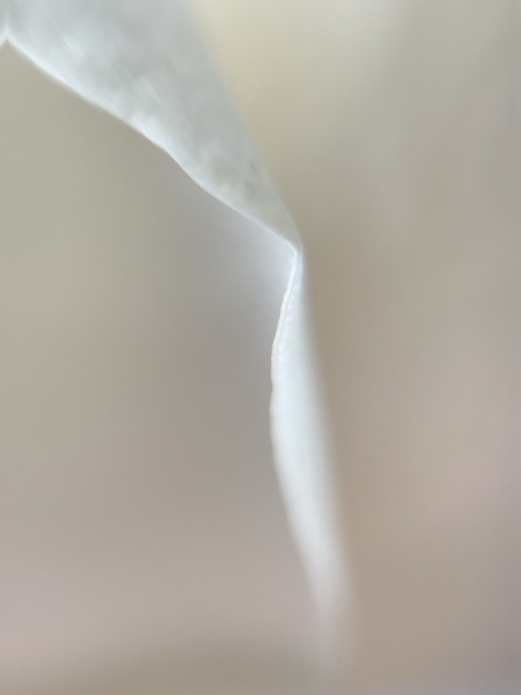 Satin Waves
