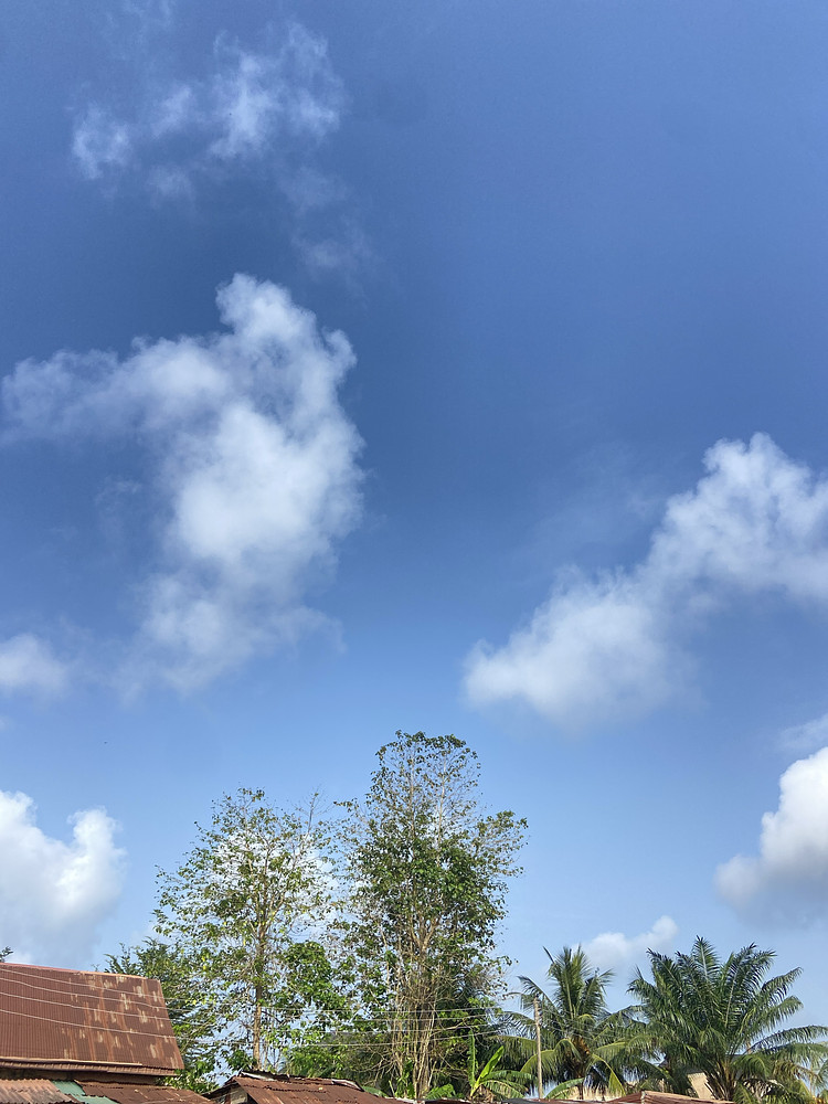 Clear sky