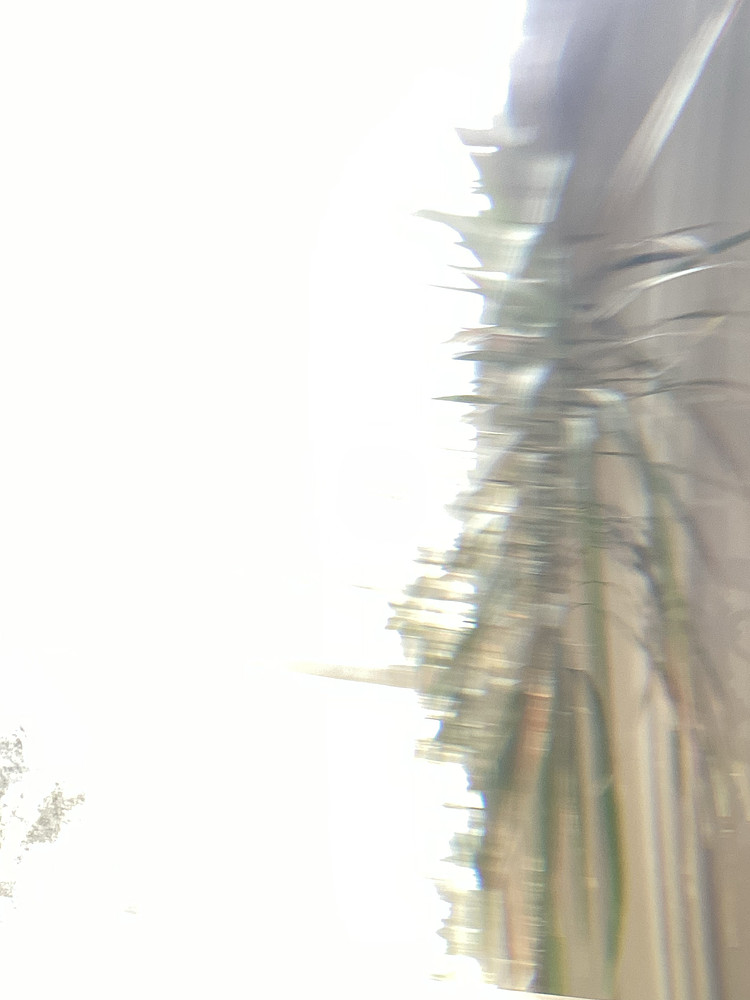 Photo 5285615