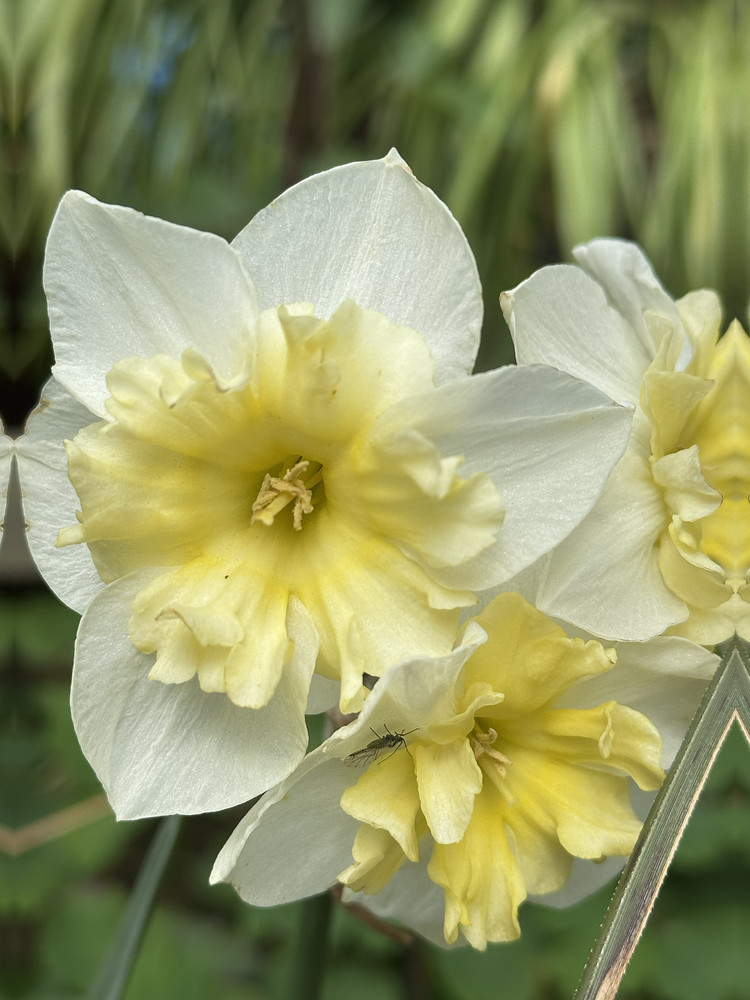 Spring Moment