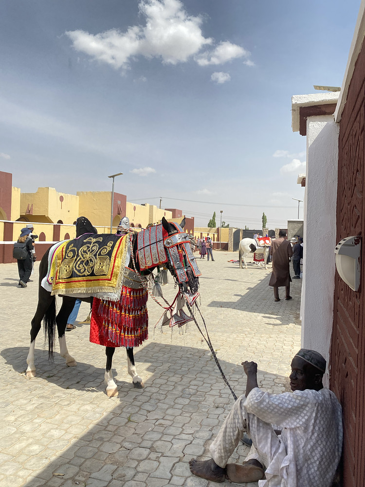 Durbar Horse