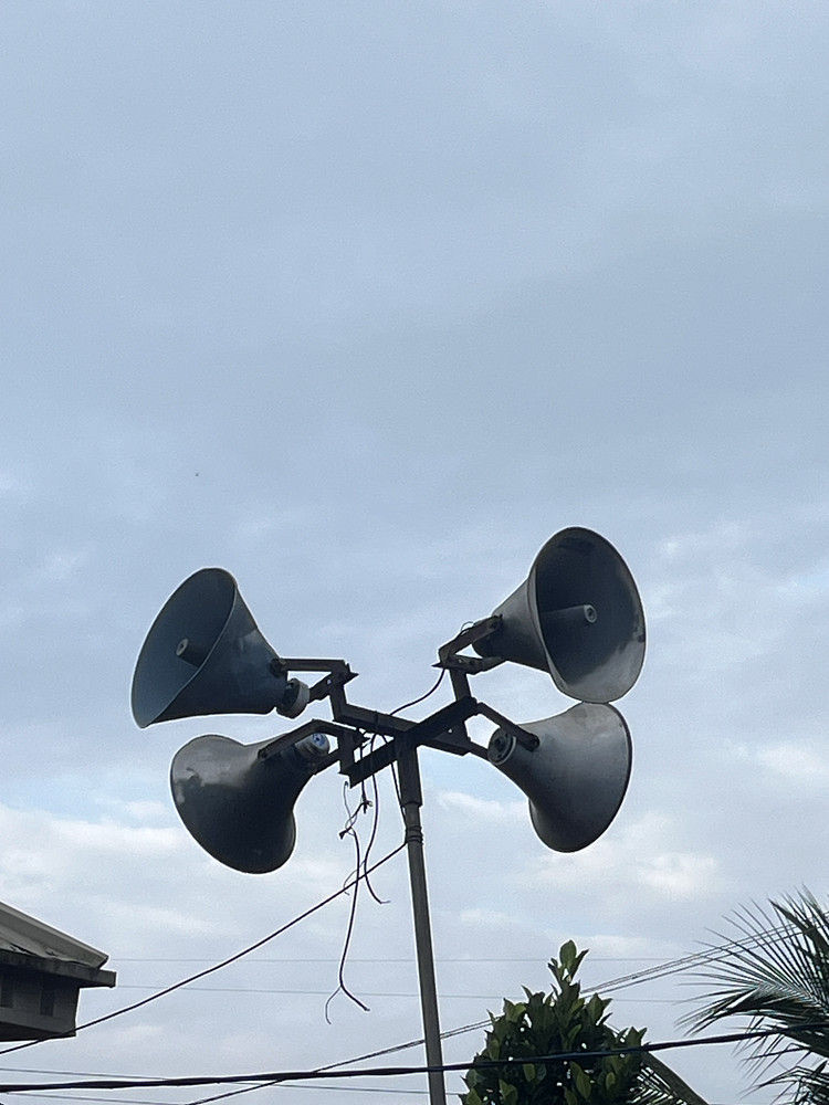 Horn Speaker 
