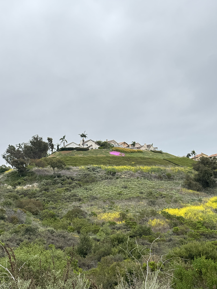 On the Hill