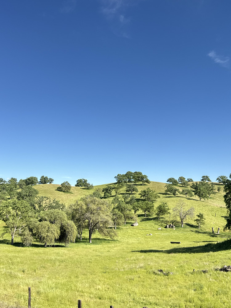 The hills 