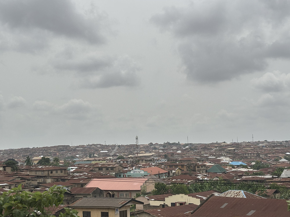 The brown roofs 