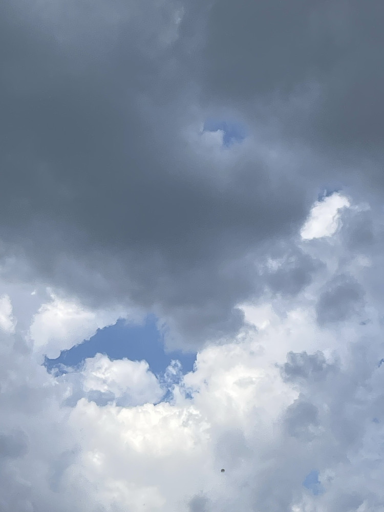 Face Cloud