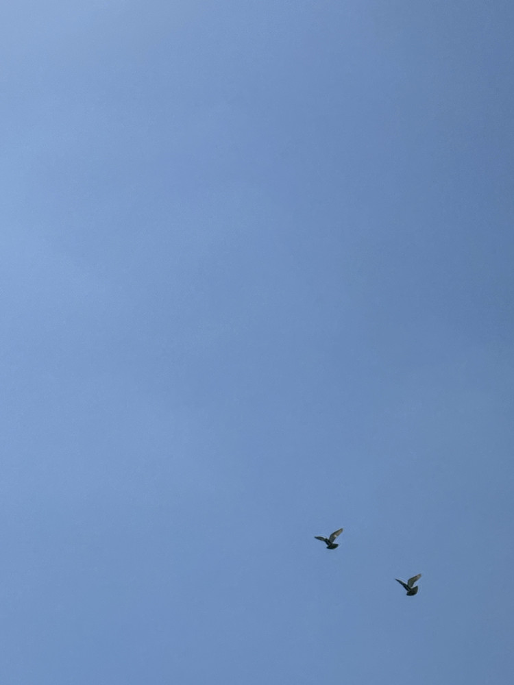 Angels