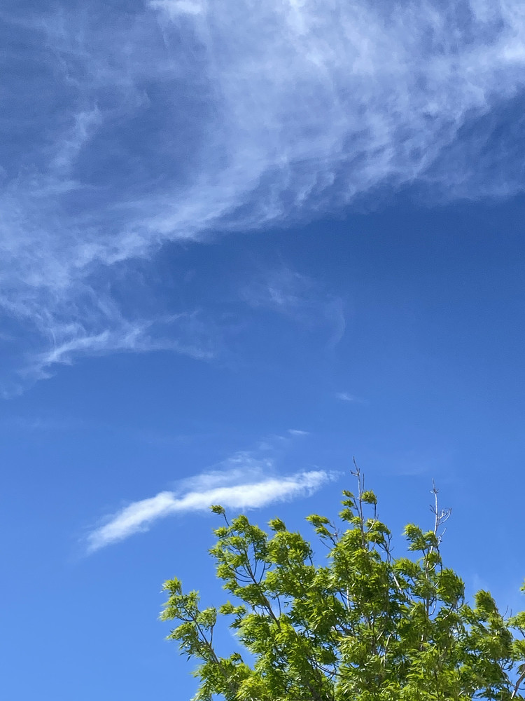 Blue green 