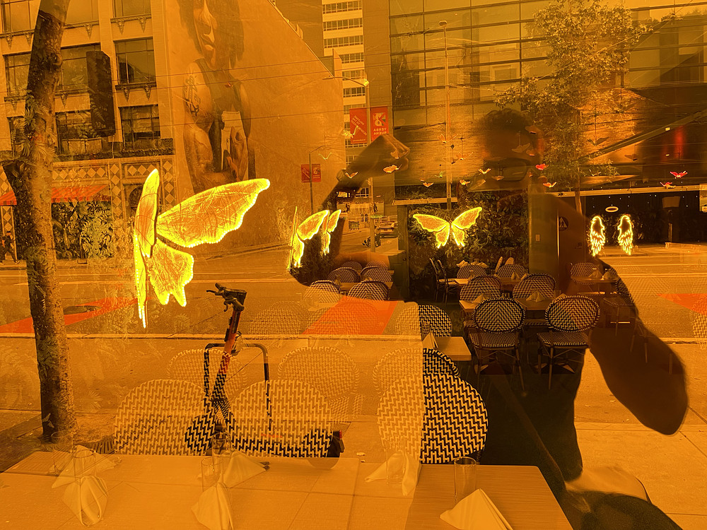 Photo 7671069