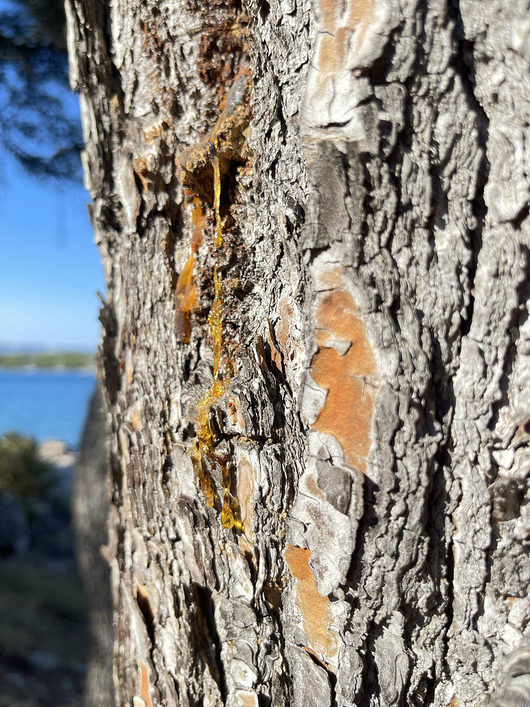 Photo 6996109
